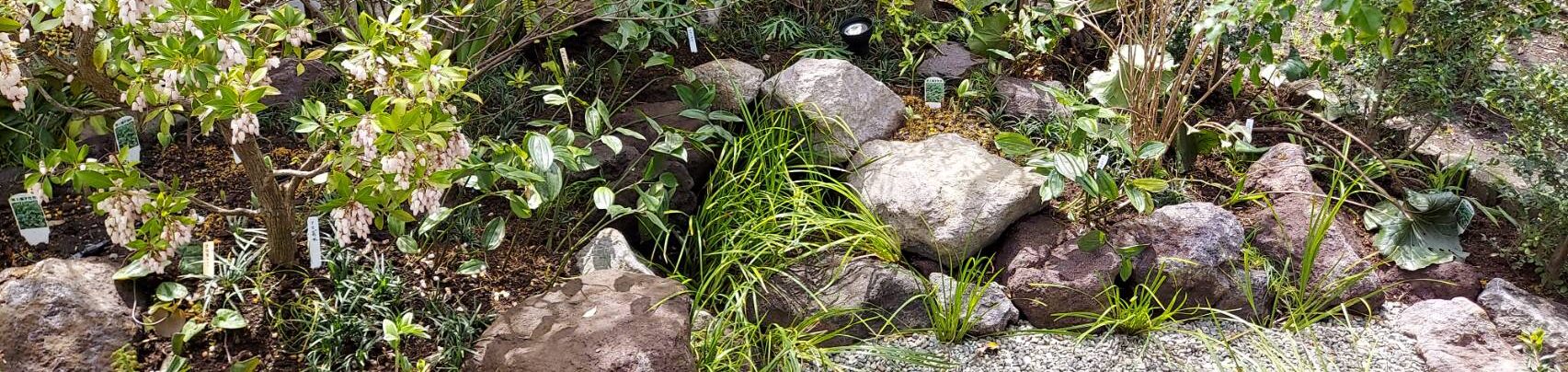 植栽工事の施工イメージ